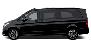 vehicle_type_1738941381